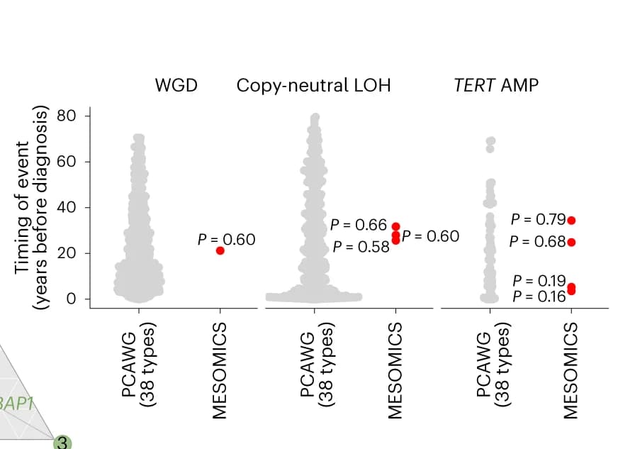 Open access visualization of Violin Plot, Scatter Plot, Large-scale Amplifications, Genomic Events, Statistical Significance