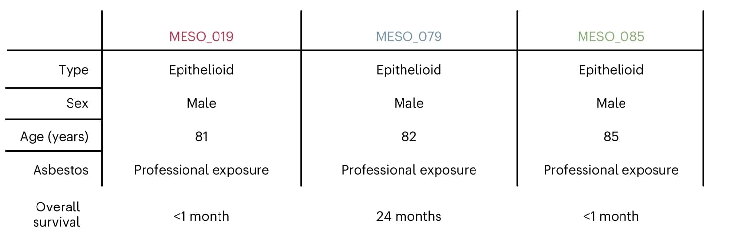Open access visualization of Table Image, Patients, Clinical Characteristics