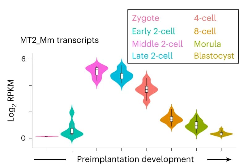 Open access visualization of Violin Plot, Box Plot, Violin Plots, Log2 RPKM, LTR Promoter