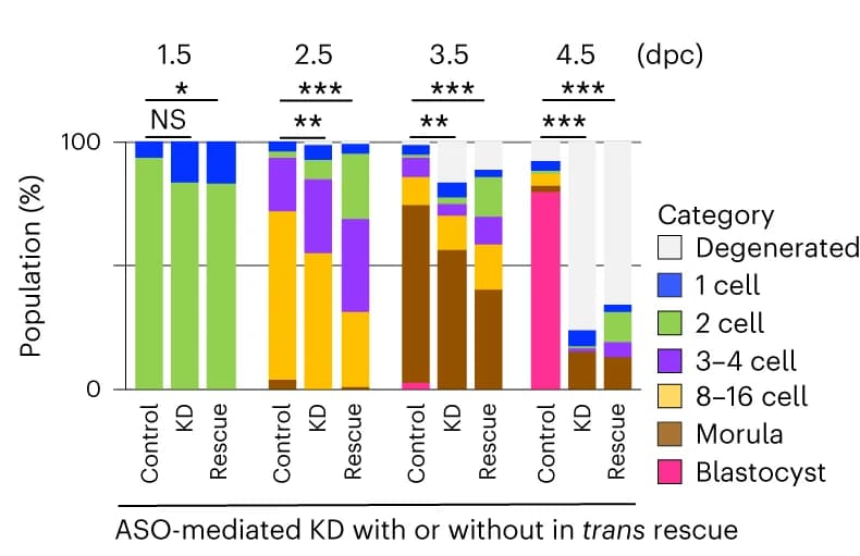 Open access visualization of Stacked Bar Plot, Embryos, Developmental Stages, Experimental Condition, Control