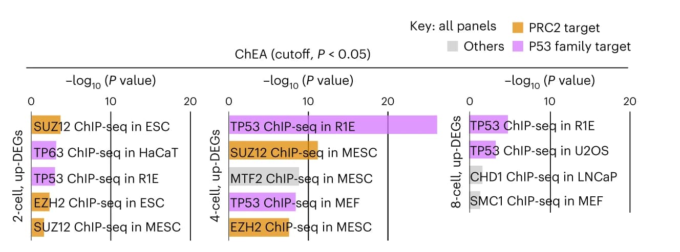 Open access visualization of Bar Plot, ChEA Database, Upstream Factors, Differentially Expressed Genes, MERVL-KD