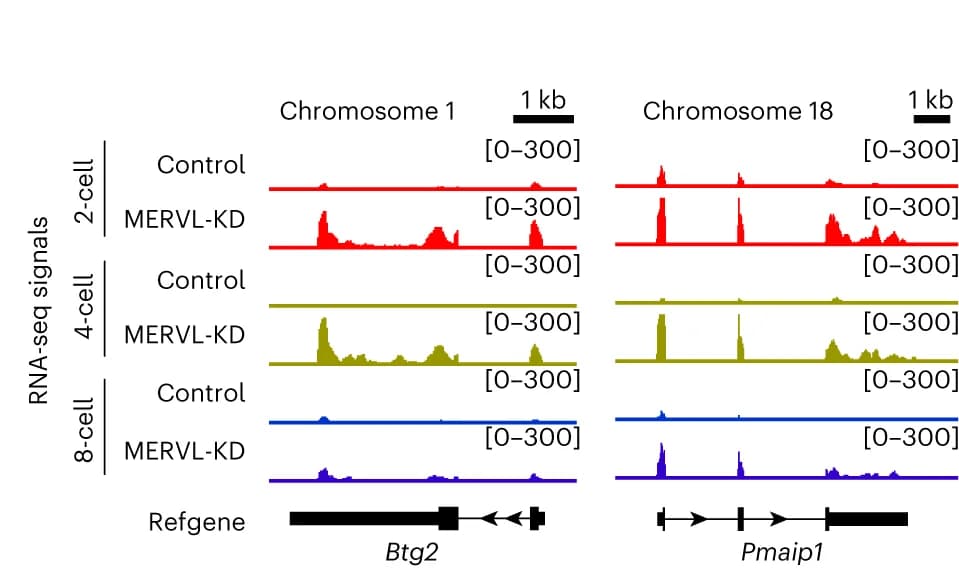 Open access visualization of Line Plot, Density Plot, RNA-Seq, Embryos, Two-Cell Gene Loci