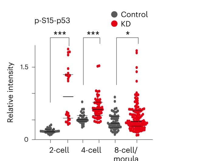 Open access visualization of Scatter Plot, Dot Plots, Phosphorylated p53 Intensity, Nucleus, Embryos