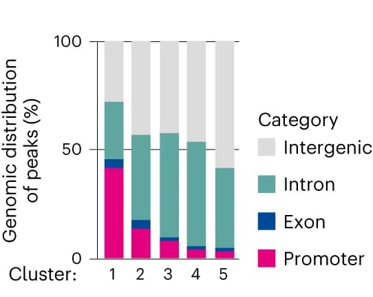 Open access visualization of Stacked Bar Plot, Stacked bar chart, ATAC-seq peak distributions, Genomic entities, Intergenic