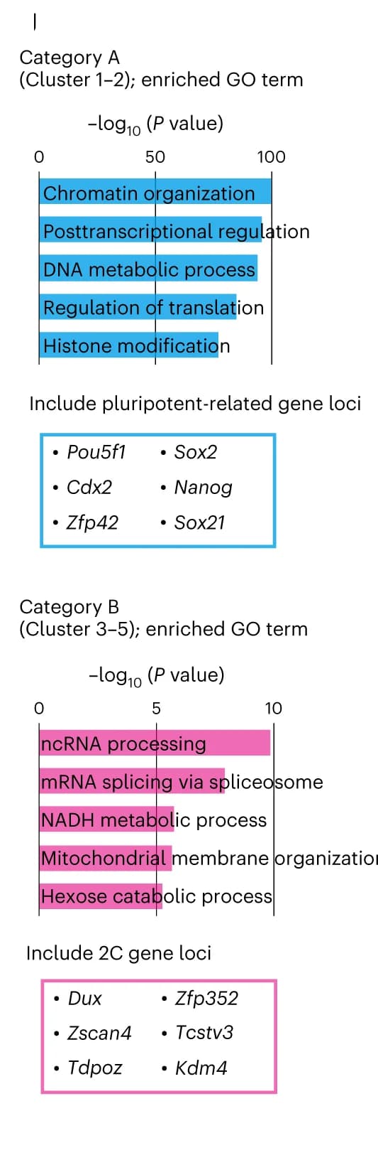 Open access visualization of Bar Plot, GO analysis, Genes, ATAC-seq peaks, Pluripotent-related genes