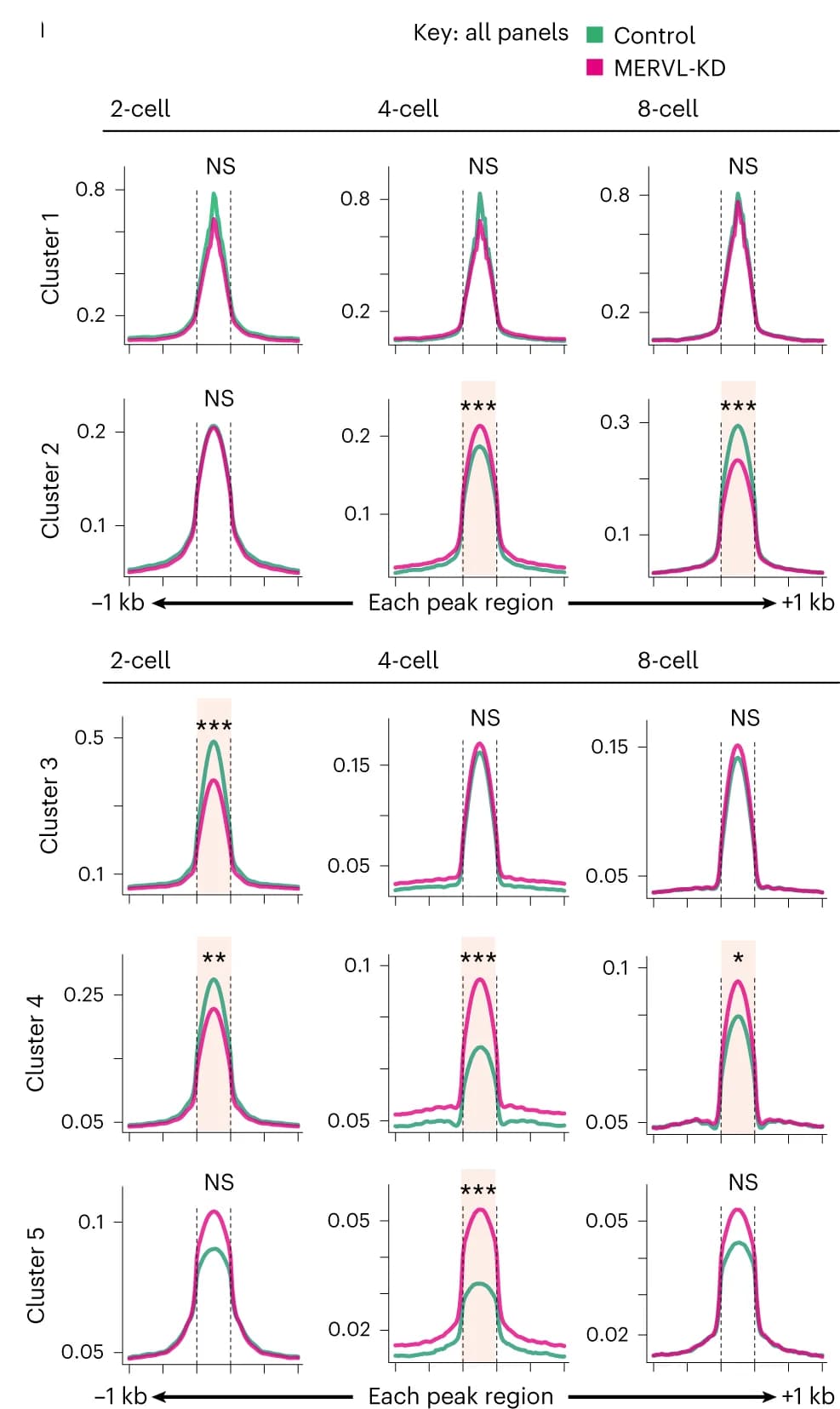 Open access visualization of Line Plot, Density Plot, Tag density plots, ATAC-seq enrichment, Peak regions