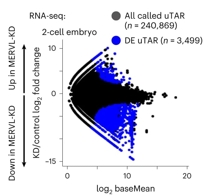 Open access visualization of Scatter Plot, Volcano Plot, RNA-seq, Differential expression analysis, uTARs