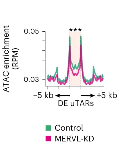 Open access visualization of Line Plot, Tag density plots, ATAC-seq, DE uTARs, Control embryos