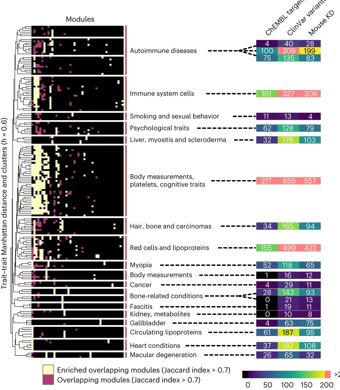 Open access visualization of Heatmap, Clustered, Gene Modules, Traits, Hierarchical Clustering