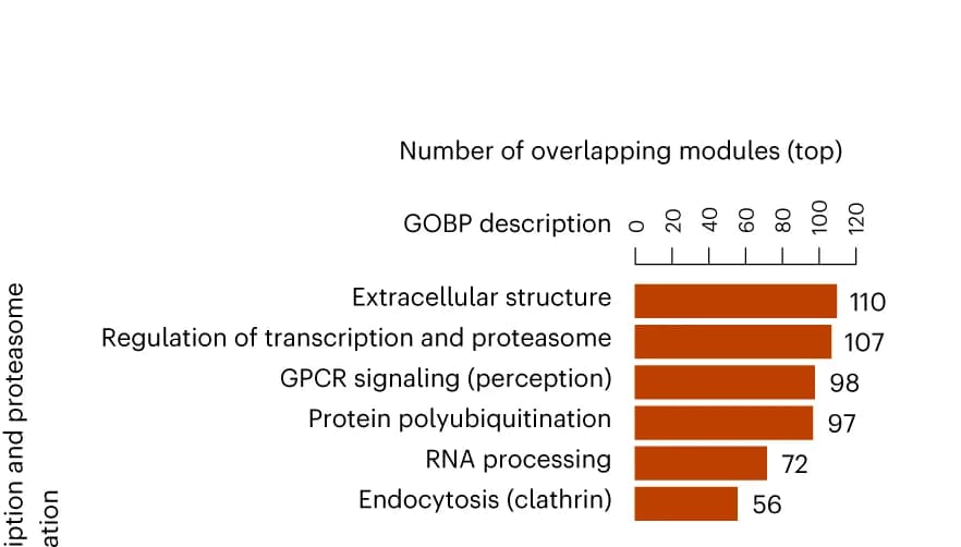 Open access visualization of Bar Plot, Barplot, Traits, Gene Modules, GOBP Enrichment Test