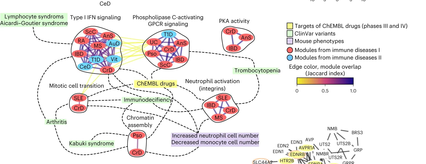 Open access visualization of Network, Pathway, Gene Modules, Immune-related Traits, ChEMBL Drugs