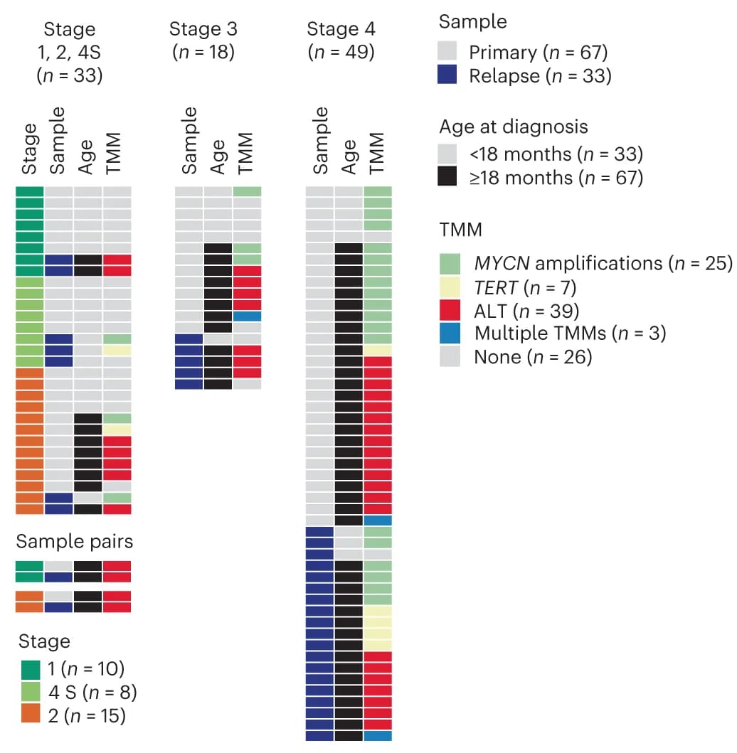 Open access visualization of Heatmap, Clinical Parameters, Molecular Characteristics