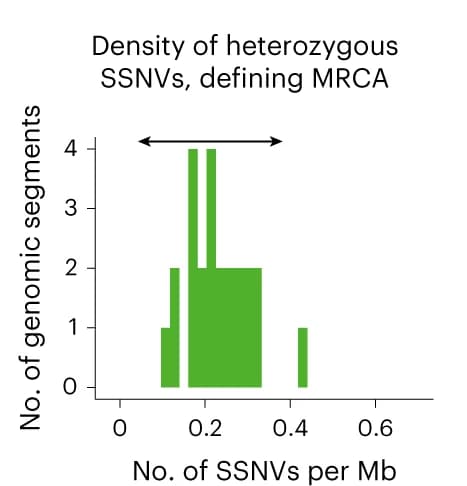 Open access visualization of Histogram, Mutation Densities, Clonal Mutations, Genomic Segments, Non-amplified