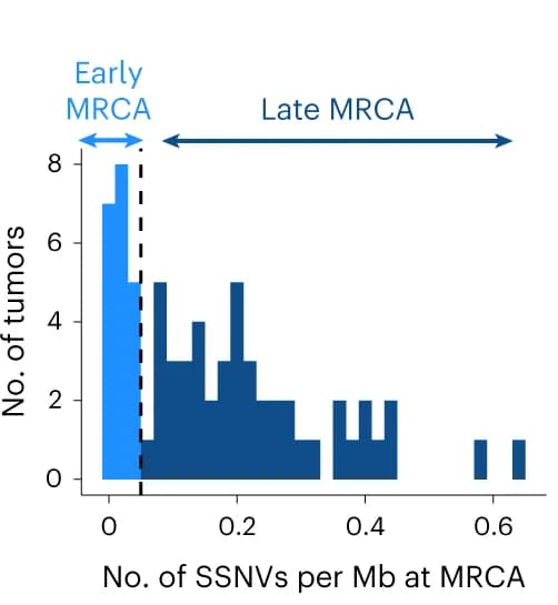 Open access visualization of Histogram, Mutation density, Discovery cohort, SSNVs