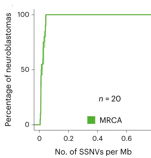 Open access visualization of Line Step, SSNV density, ECA, MRCA, Primary tumors