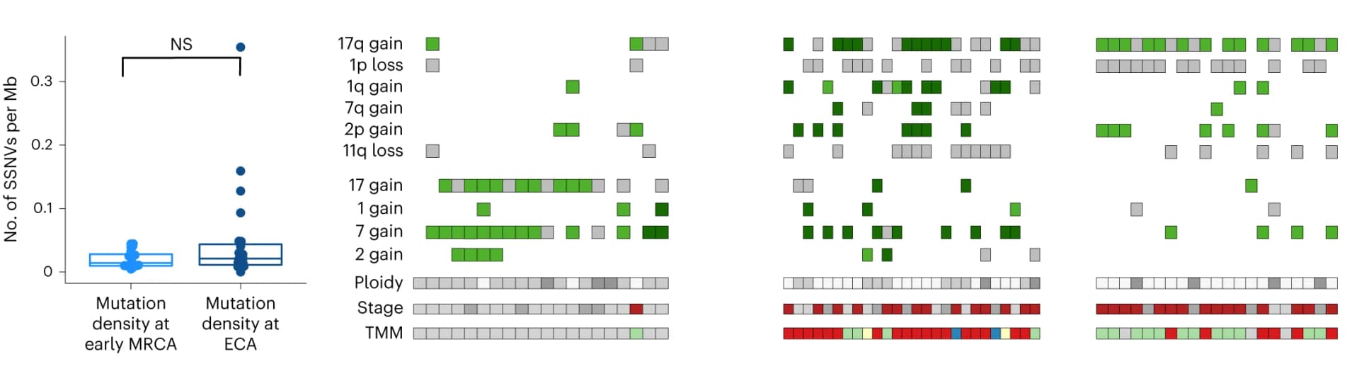 Open access visualization of Violin Plot, Box Plot, Heatmap, Mutation density, MRCA
