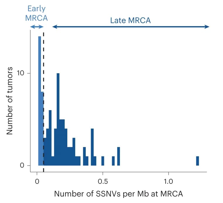 Open access visualization of Histogram, Mutation Density, MRCA, Validation Cohort, SSNVs