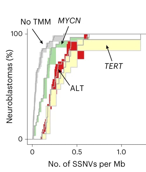 Open access visualization of Line Plot, Line Step, Mutation Densities, MRCA, TMM
