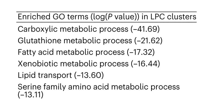 Open access visualization of Table Image, GO Terms, LPCs, Gene Enrichment Analysis, Metascape