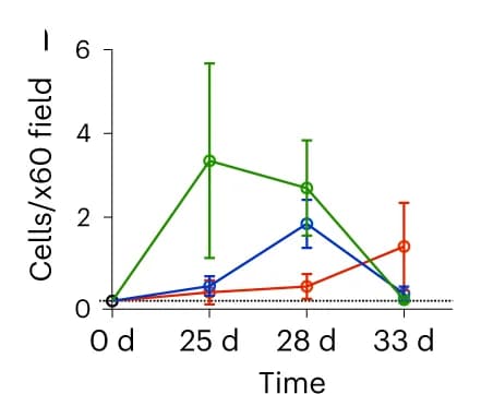 Open access visualization of Line Plot, Error Bars, Quantification, TLPCs, Hepatocytes