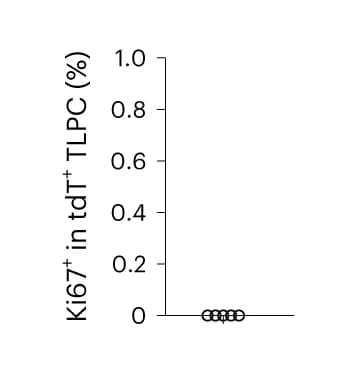 Open access visualization of Scatter Plot, Ki67, TLPCs, Mice