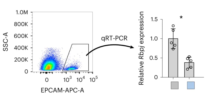 Open access visualization of Bar Plot, Scatter Plot, Error Bars, FACS sorting, EPCAM + BECs