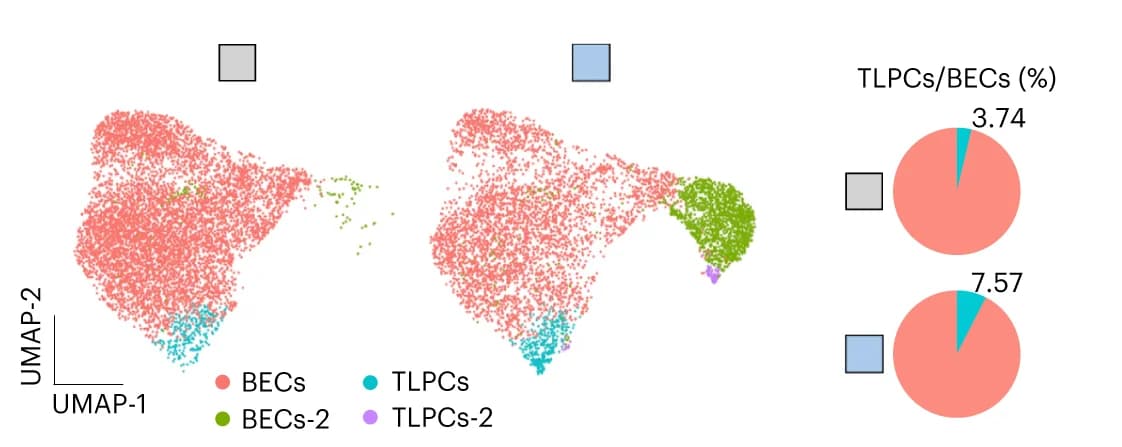 Open access visualization of UMAP, Scatter Plot, Pie Chart, UMAP visualization, EPCAM
