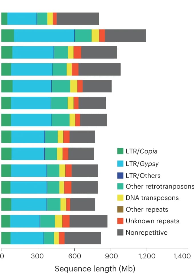Open access visualization of Stacked Bar Plot, TE Content, Potato, Wild Tomatoes, Cultivated Tomatoes
