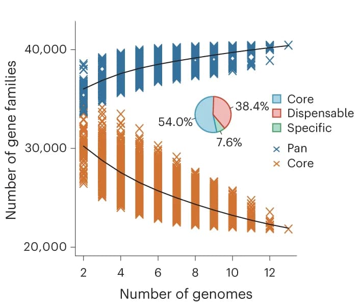 Open access visualization of Scatter Plot, Line Plot, Pie Chart, Pangenome, Core-genome