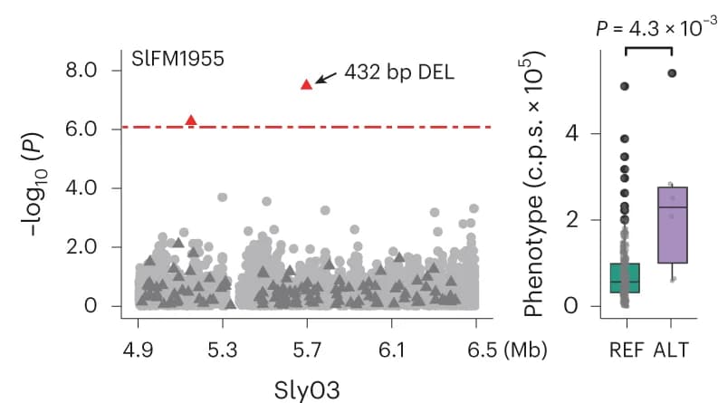 Open access visualization of Manhattan Plot, Scatter Plot, Box Plot, Manhattan Plots, Box Plots