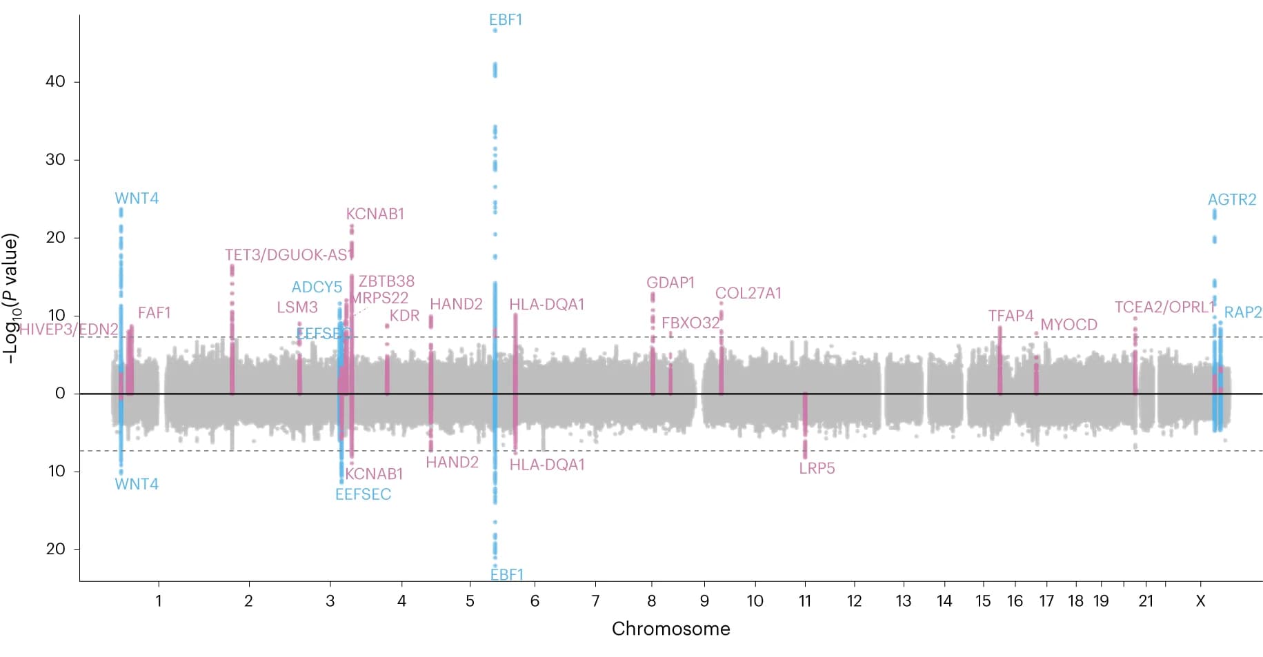 Open access visualization of Manhattan Plot, GWAS, Gestational duration, Preterm delivery, Chromosome position