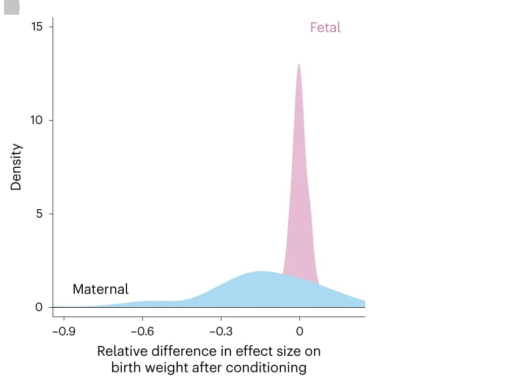 Open access visualization of Density Plot, Effect Size, Birth Weight, Maternal Effect, Gestational Duration