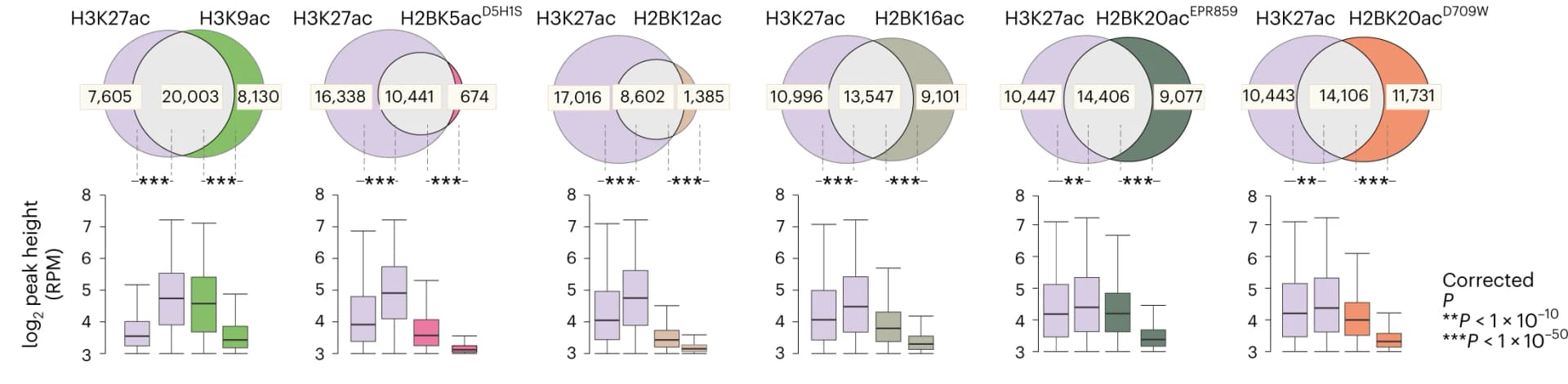 Open access visualization of Venn Diagram, Box Plot, Venn Diagrams, ChIP-seq, Histone Acetylation