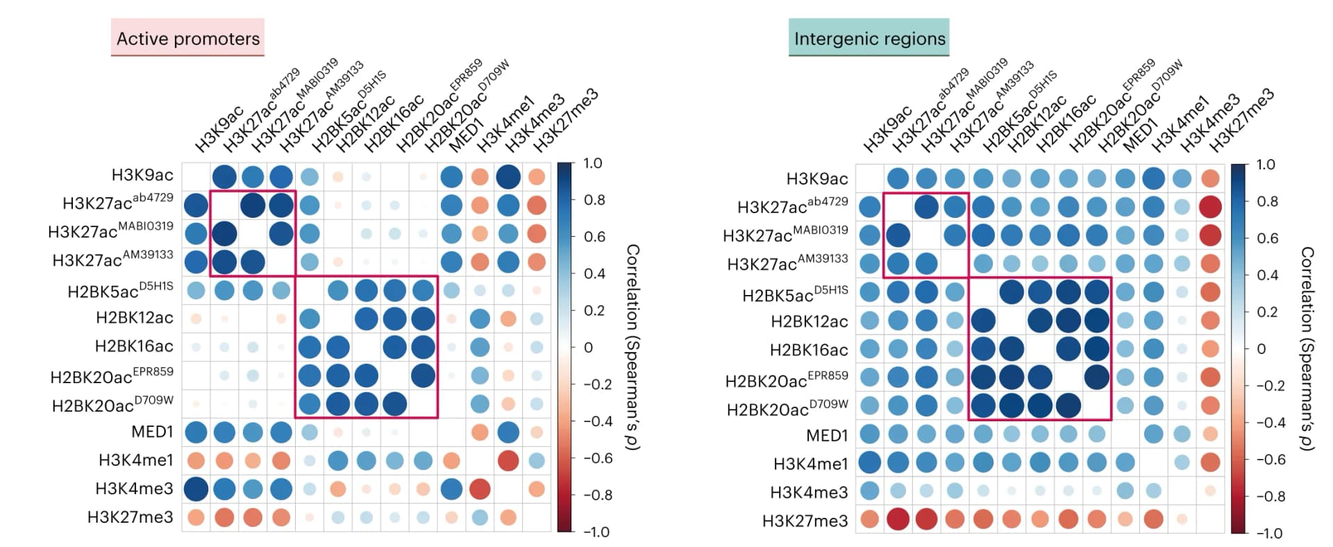 Open access visualization of Heatmap, H2BNTac, Chromatin Marks, Pairwise Correlation, Spearman's rho