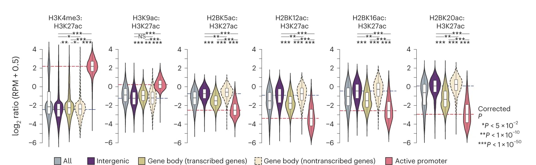 Open access visualization of Violin Plot, Box Plot, H2BNTac, Enhancers, Active Promoters