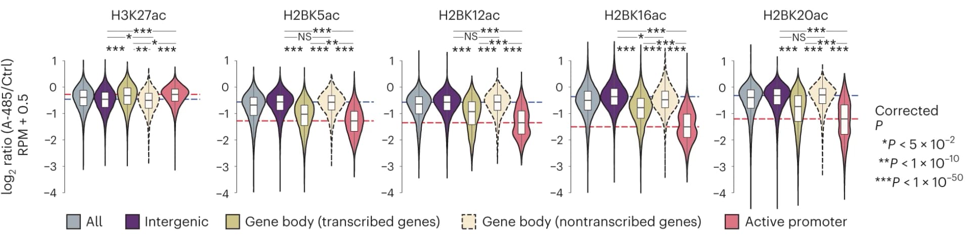 Open access visualization of Violin Plot, Box Plot, H3K27ac, H2BNTac, ChIP signal intensity
