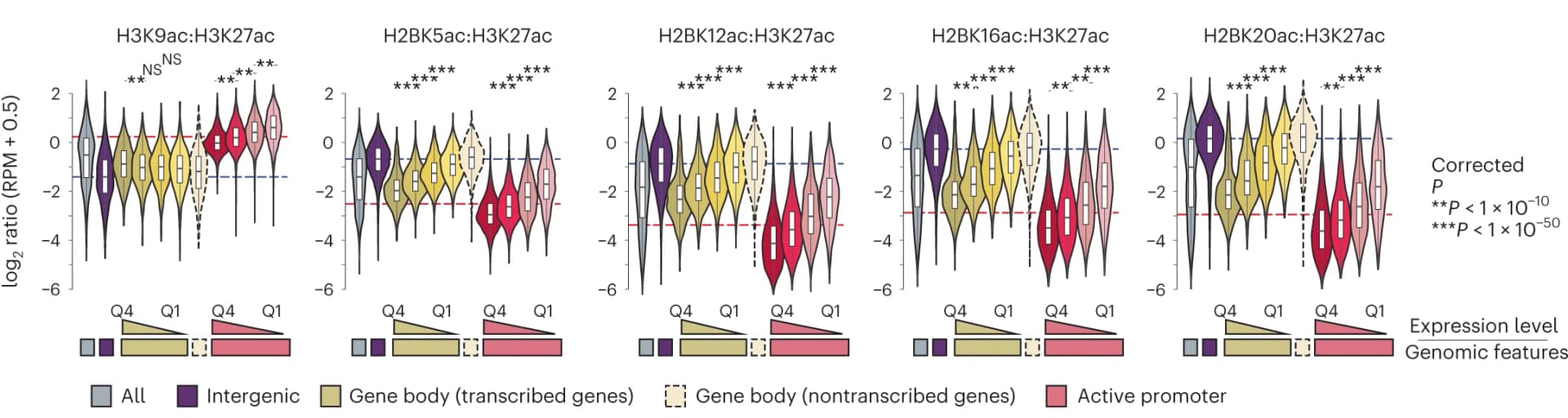 Open access visualization of Violin Plot, Box Plot, Histone marks, H3K27ac, Nascent transcription