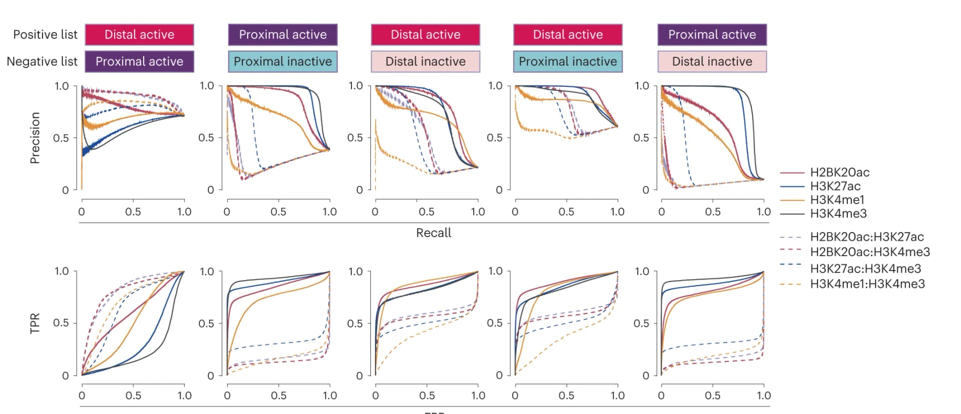 Open access visualization of Line Plot, H2BNTac, Histone Marks, Transcription, PINTS Regions