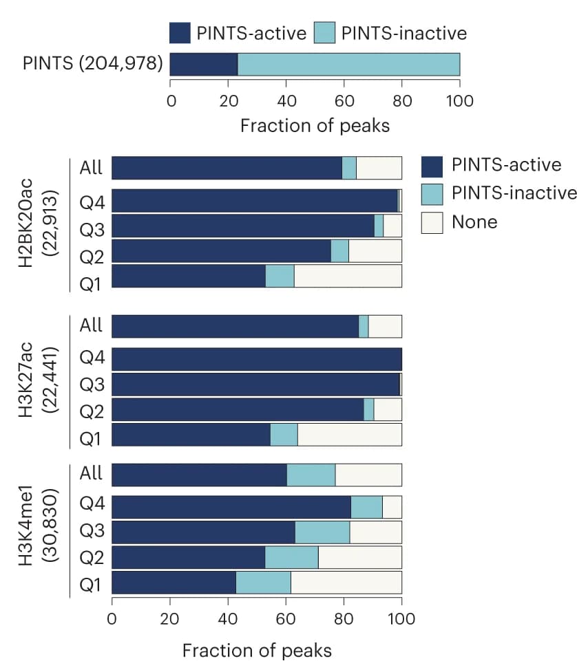 Open access visualization of Bar Plot, Stacked Bar Plot, H2BNTac, PINTS, K562 Cells