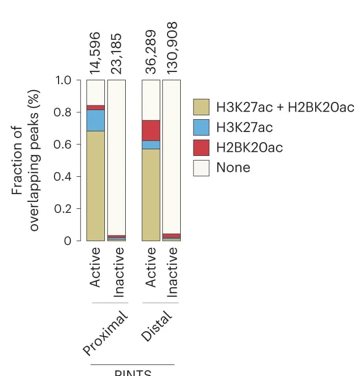 Open access visualization of Stacked Bar Plot, PINTS Regions, H2BK20ac, H3K27ac, K562 Cells