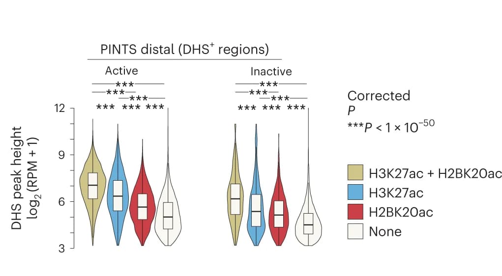 Open access visualization of Violin Plot, Box Plot, Raincloud Plot, PINTS Active Regions, Histone Marks