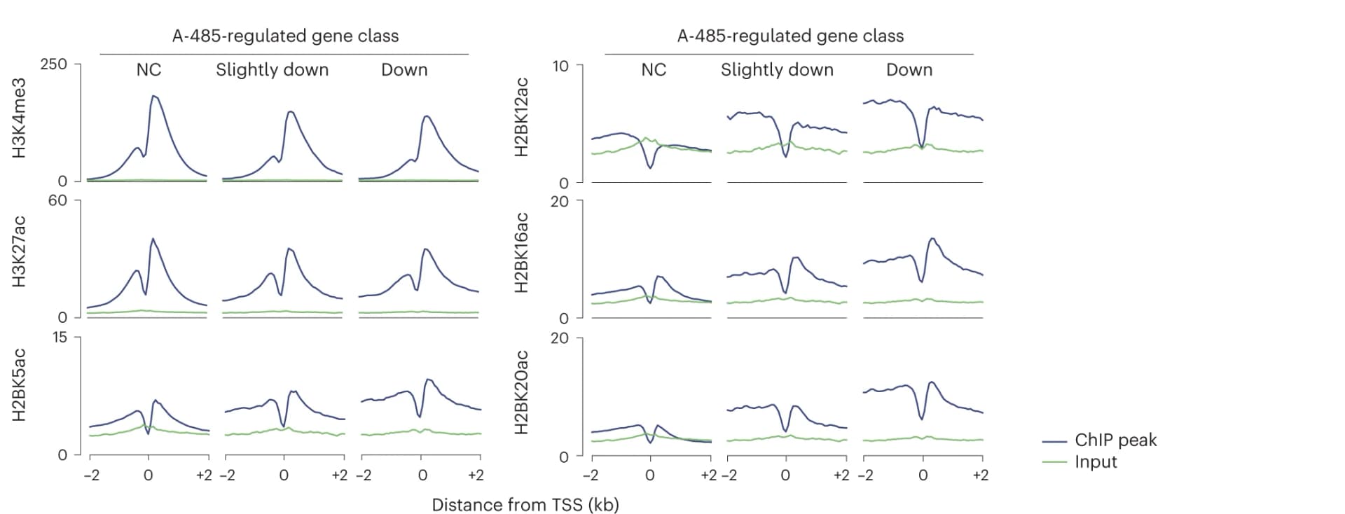 Open access visualization of Line Plot, ChIP Signal, A-485-regulated gene promoters, mESCs, Transcription