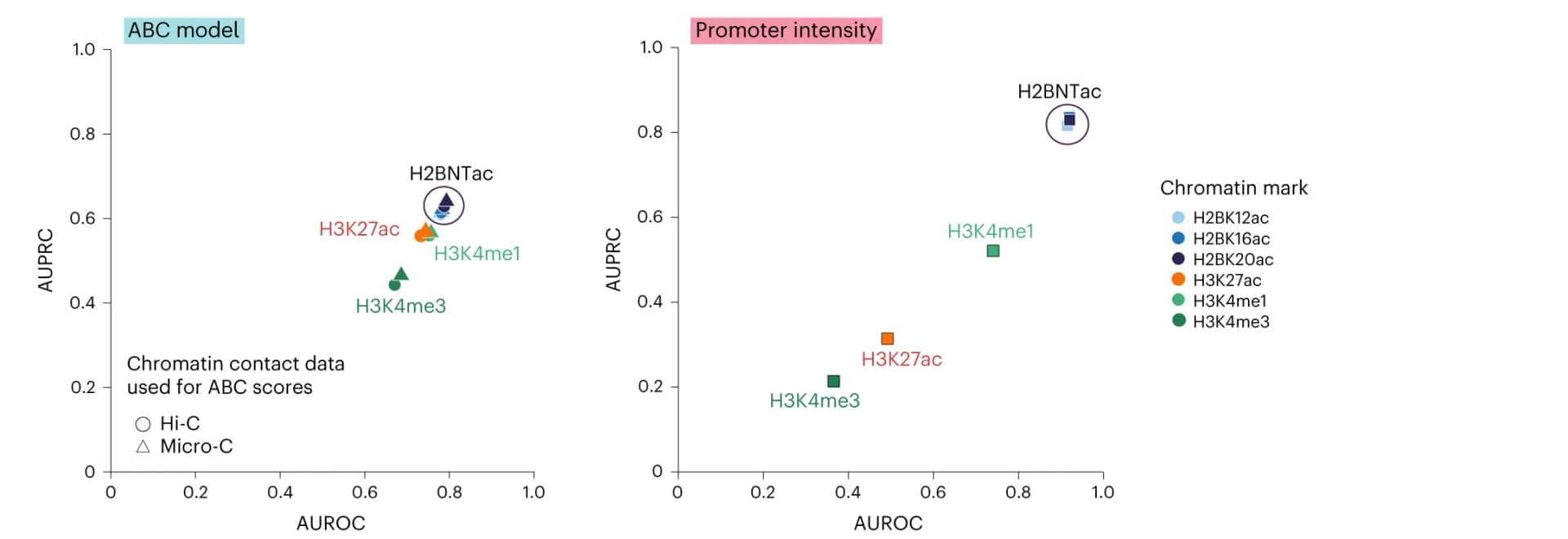 Open access visualization of Scatter Plot, H2BNTac, Promoter Intensity, ABC Model, Chromatin Features