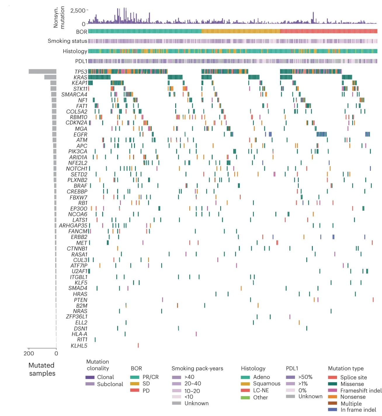 Open access visualization of Bar Plot, Histogram, Heatmap, CoMut plot, SU2C-MARK cohort