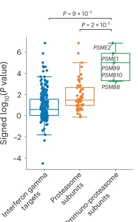Open access visualization of Box Plot, Scatter Plot, Dot Plot, Interferon-gamma, Proteasome Subunits
