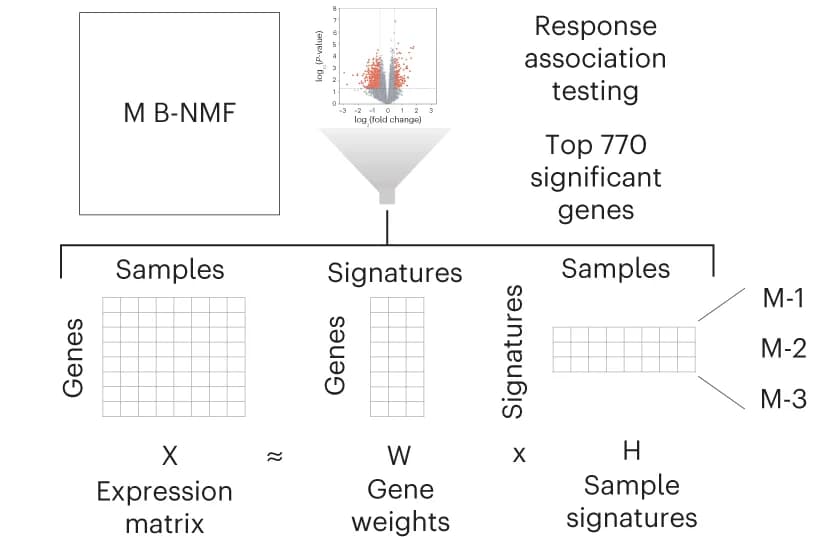 Open access visualization of Volcano Plot, Workflow, B-NMF, M signature generation