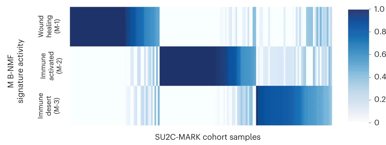 Open access visualization of Heatmap, H-matrix, SU2C-MARK samples, B-NMF, M signature activity