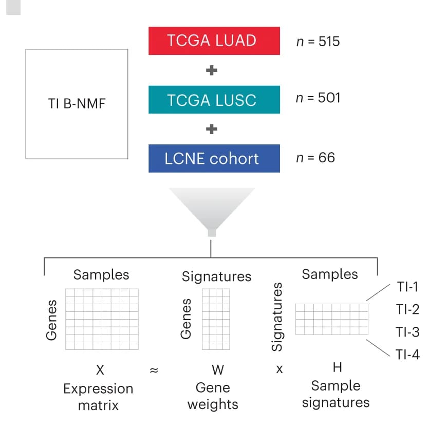 Open access visualization of Workflow, Flowchart, B-NMF, TI subtype signatures, RNA-seq