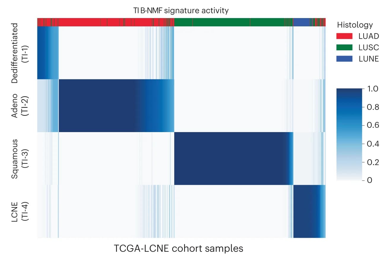 Open access visualization of Heatmap, H-matrix, TCGA-LCNE, TI signature