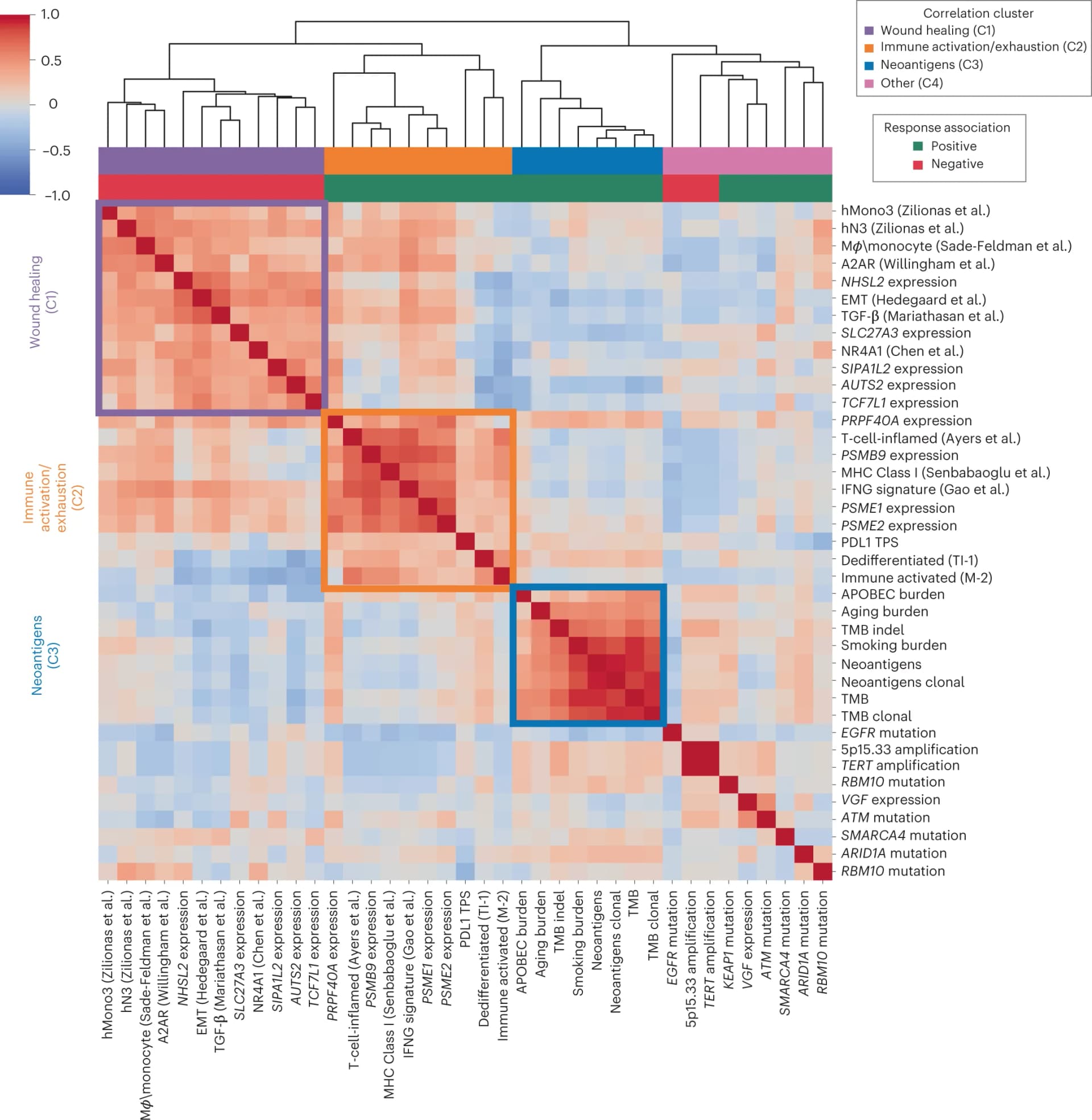 Open access visualization of Heatmap, Clustered, Cross-correlation heatmap, Response, Resistance